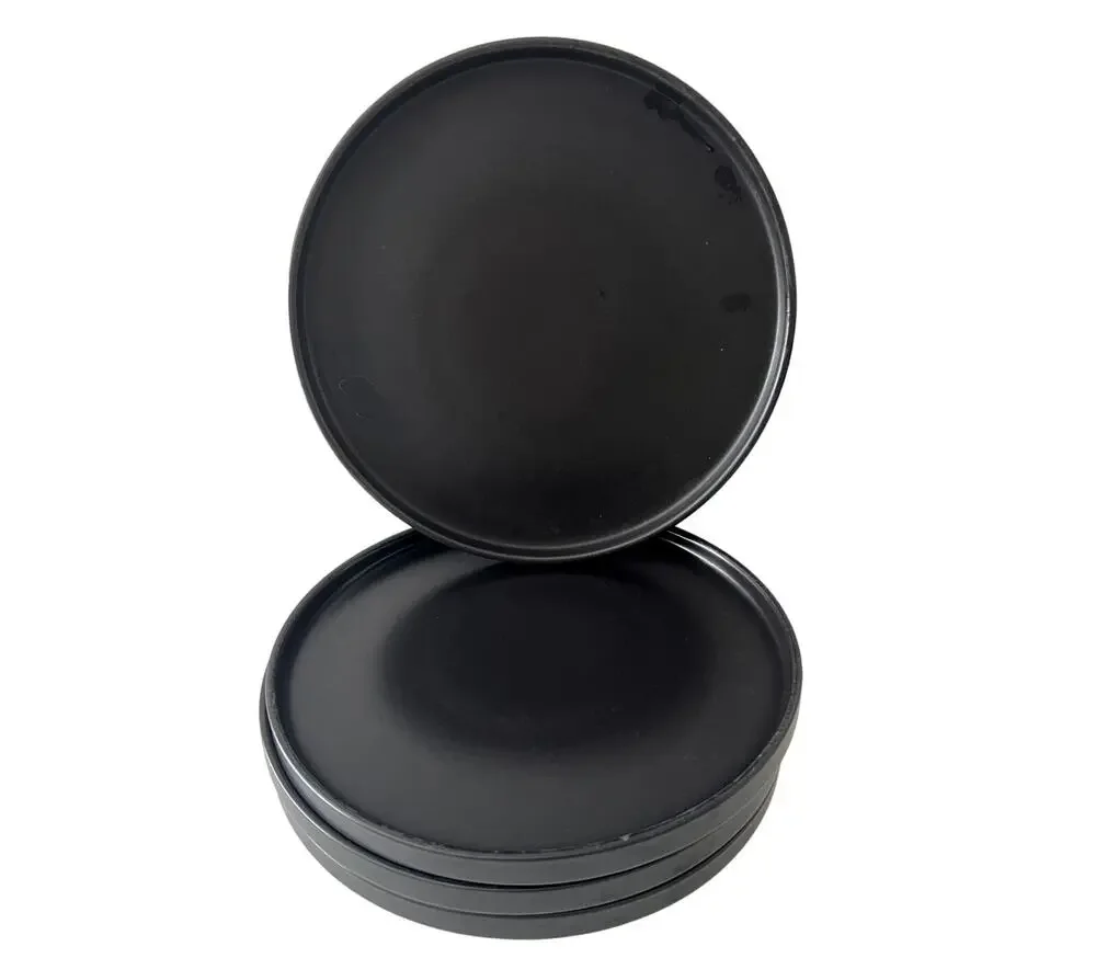 Stone + Lain Stoneware Set Of Four 4 Plates Stackable Dishwasher Microwave Safe